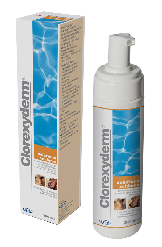CLOREXYDERM Sol.Schiuma 200ml
