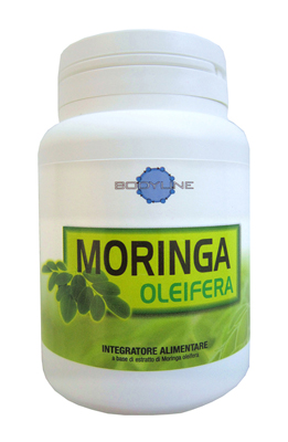 MORINGA OLEIFERA 60 Cps