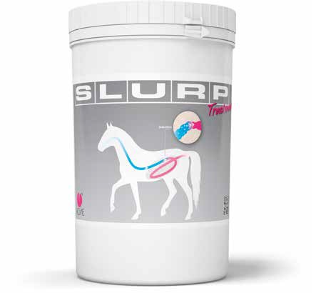 SLURP TREATMENT 800G