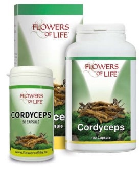 CORDYCEPS 100CPS FLOWERS OF LI