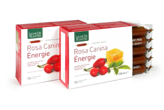 ROSA CANINA ENERGIE BIO 10AB