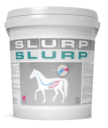 SLURP POLVERE 10KG