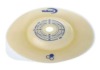 AURUM2 PLAC CONV55 5PZ-XMH2NF513