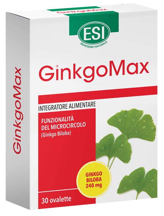 GINKGOMAX Memory 30 Oval.ESI