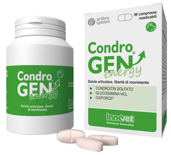 CONDROGEN Energy 90 Cpr