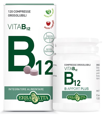 B-APPORT Vit.B12 120Cpr OroEBV