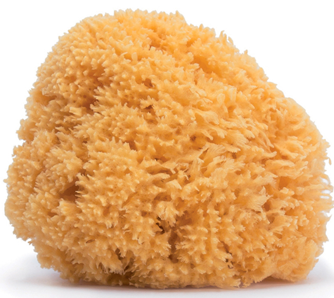 SUAVINEX SPUGNA NATURALE MEDIA