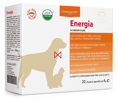 ENERGIA 20BUST 4G