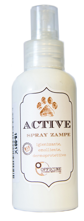 ACTIVE SPRAY ZAMPE 100ML
