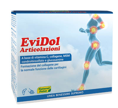EVIDOL Articolaz.30 Bust.