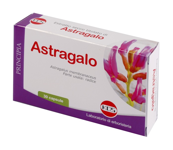 ASTRAGALO ES 70% 500MG 30CPS