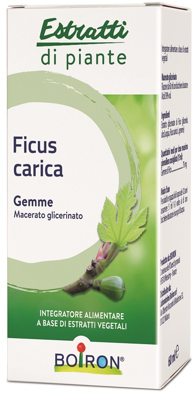 BO.FICUS CARICA MG 60ml