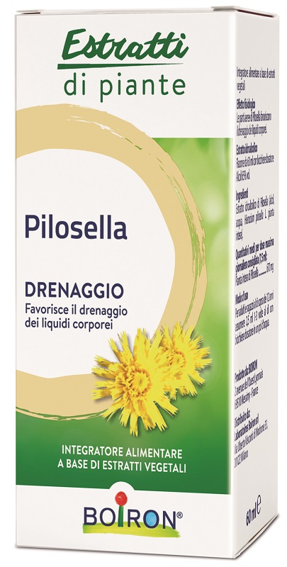 BO.PILOSELLA EI 60ml