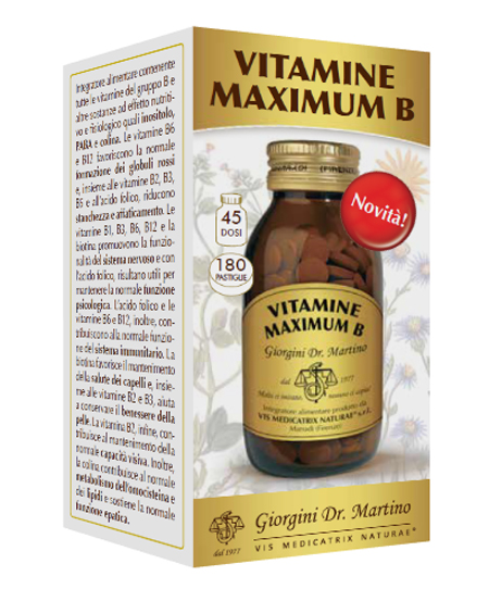 VITAMINE Max B 180 Past.SVS