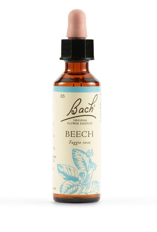 BACH 3 Beech Gtt 20ml LKR