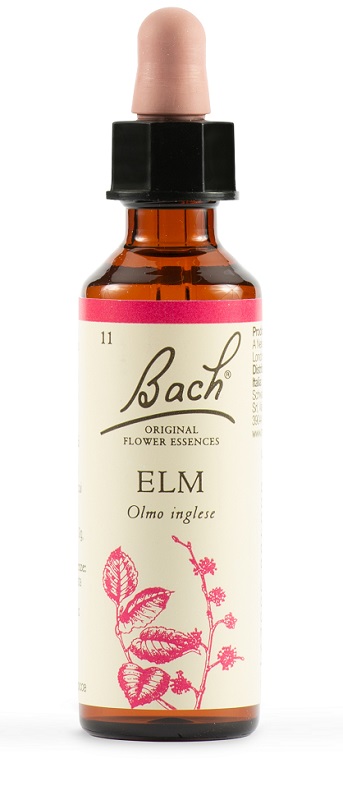 BACH 11 Elm Gtt 20ml LKR