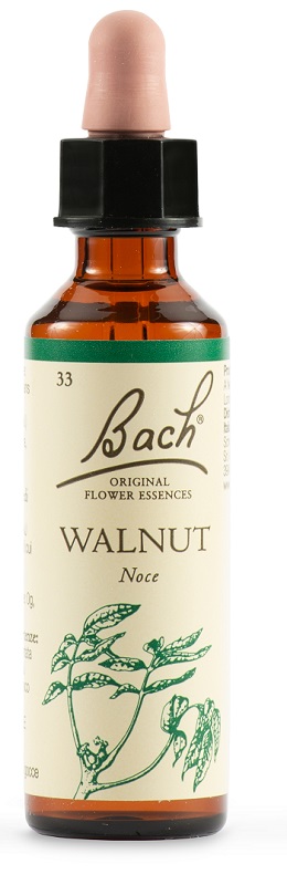BACH 33 Walnut Gtt 20ml LKR