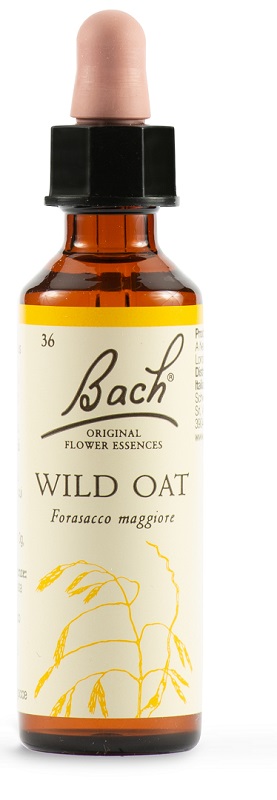 BACH 36 Wild Oat Gtt 20ml LKR