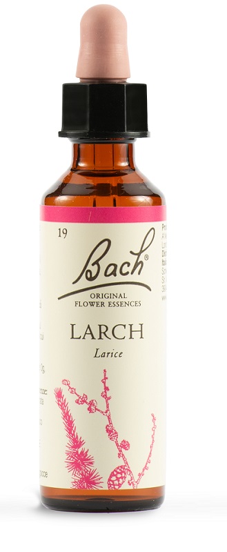 BACH 19 Larch Gtt 20ml