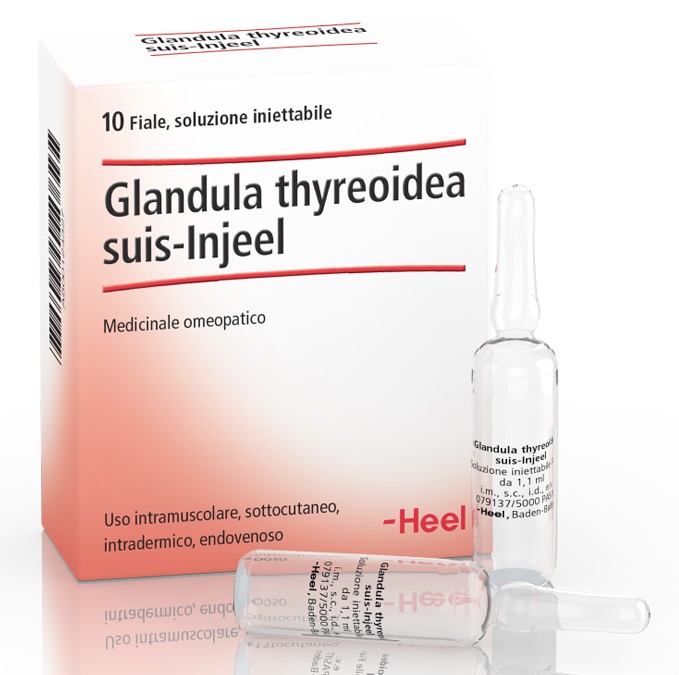 HEEL GLANDULA THYREOIDEA SUIS INJEEL 10 FIALE