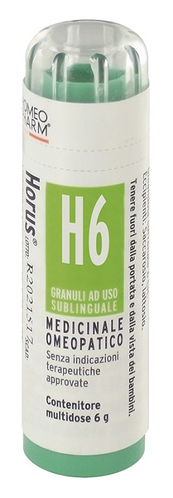 HORUS H6 GRAN CEMON