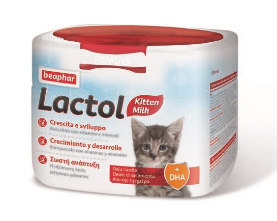 LACTOL LATTE GATTINO POWD 250g