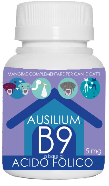 AUSILIUM B9 ACIDO FOLIC 100G VET