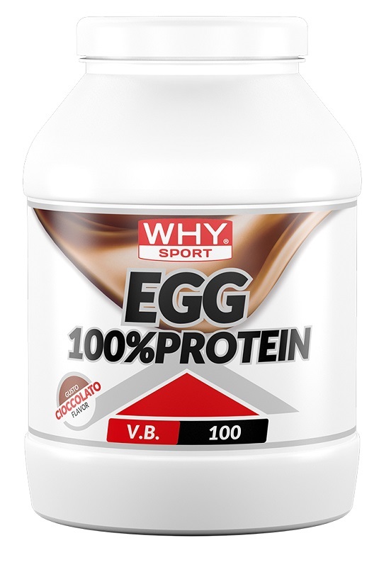 WHYSPORT EGG 100% PROTEIN CIOC