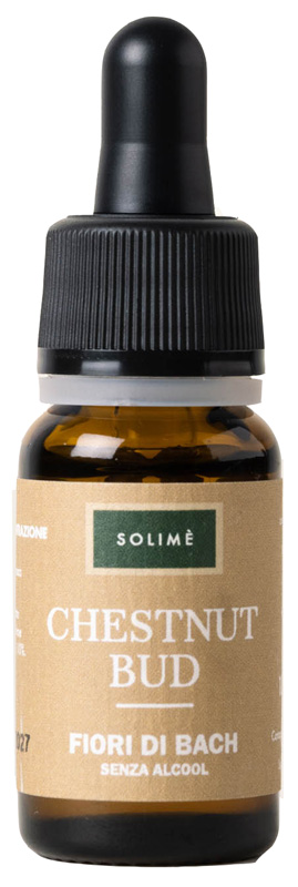 CHESTNUT BUD 10ML