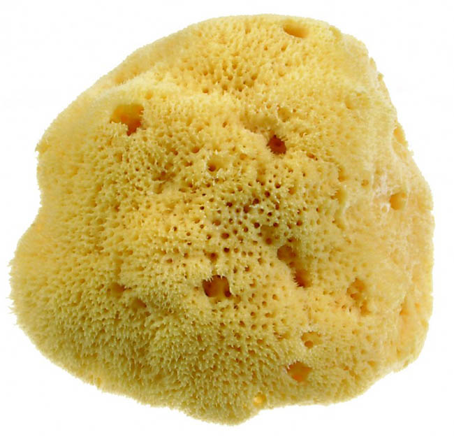 BEAUTYTIME SPUG NAT DAMA M