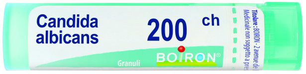 CANDIDA ALBICANS 200CH GR BO