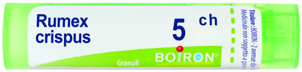 RUMEX CRISPUS 5CH GR