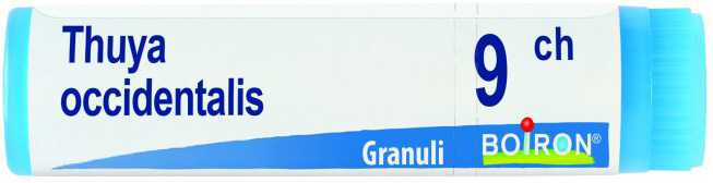 THUYA OCCIDENT 9CH GL
