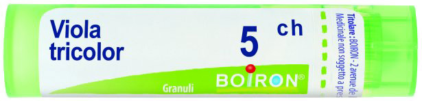 VIOLA TRICOLOR 5CH GR BO