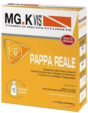FRUVIS FORTE PAPPA REALE 100ML