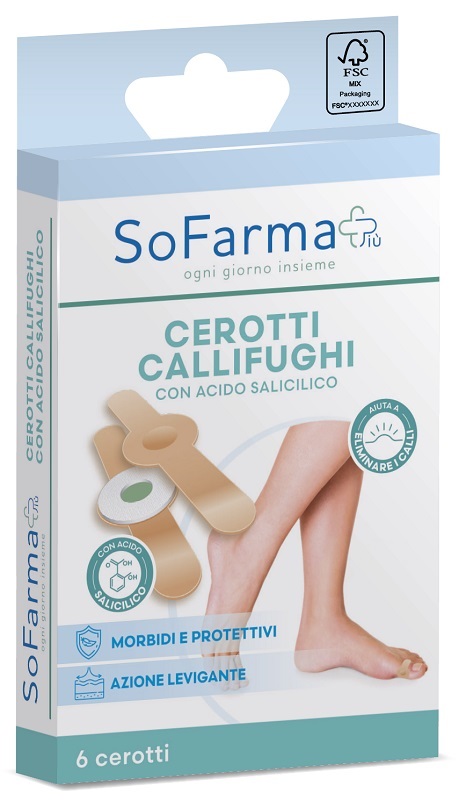 CEROTTO CALLIFUGHI TONDO 6PZ SF+