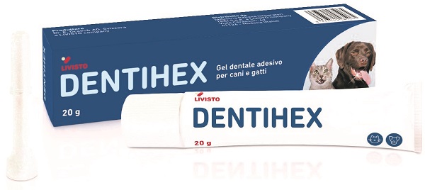 DENTIHEX Gel Dent.CaniGatti20g
