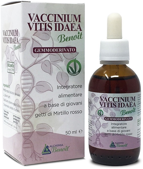 VACCINIUM VITIS IDAEA GEMM50ML