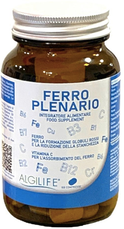 FERRO PLENARIO*100 Tav.