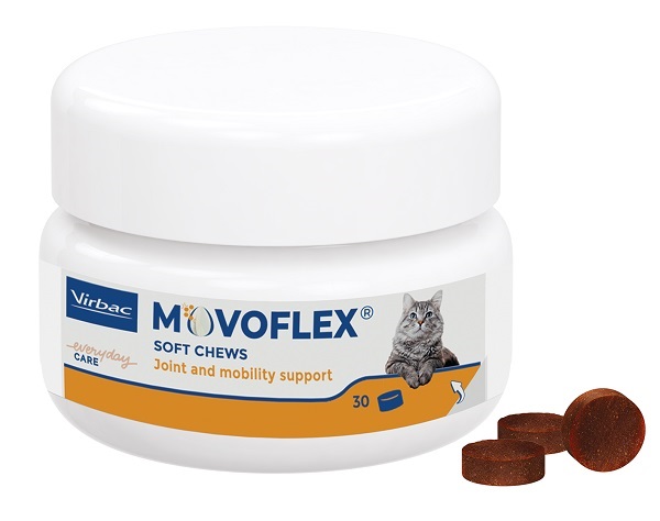 MOVOFLEX GATTO 30 CPR MASTICAB