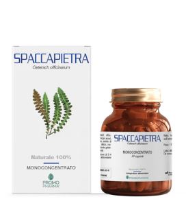 SPACCAPIETRA 50 Cps PRP