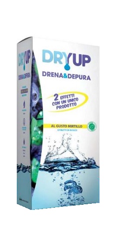 DRYUP Mirtillo 300ml