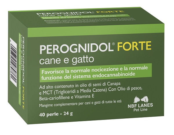 PEROGNIDOL Cane&Gatto FtePerle