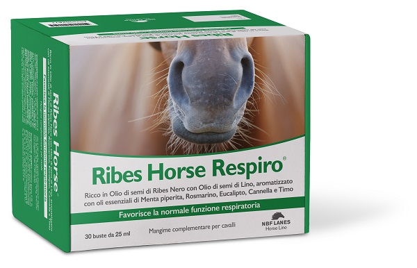 RIBES HORSE RESPIRO 30BUST