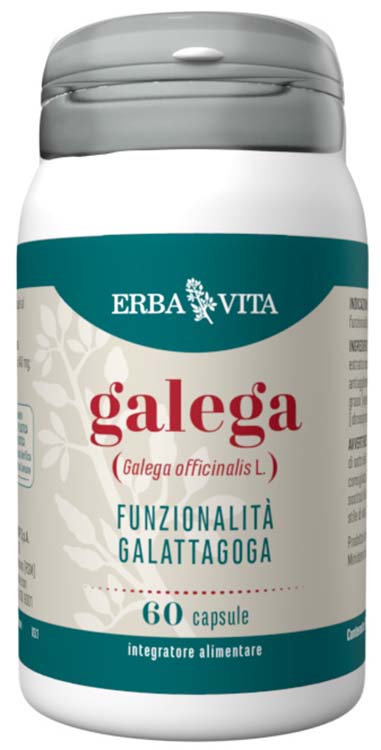GALEGA 60 Cps 450mg EBV