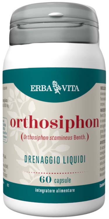 ORTHOSIPHON 60 Cps 450mg EBV