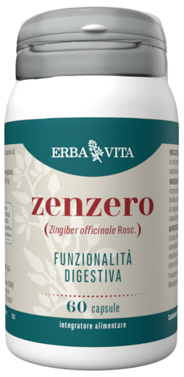 ZENZERO 60 Cps 500mg EBV