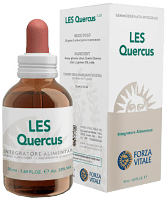 LES QUERCUS PEDUNCOLATA GOCCE