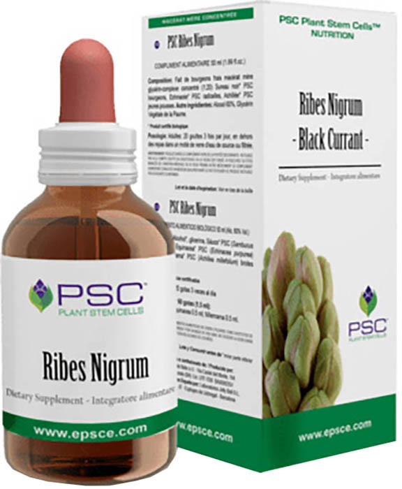PSC RIBES NIGRUM Gtt 15ml FVT