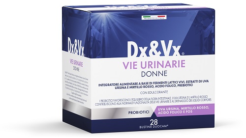 DX&VX Vie Urinarie D 28 Bust.